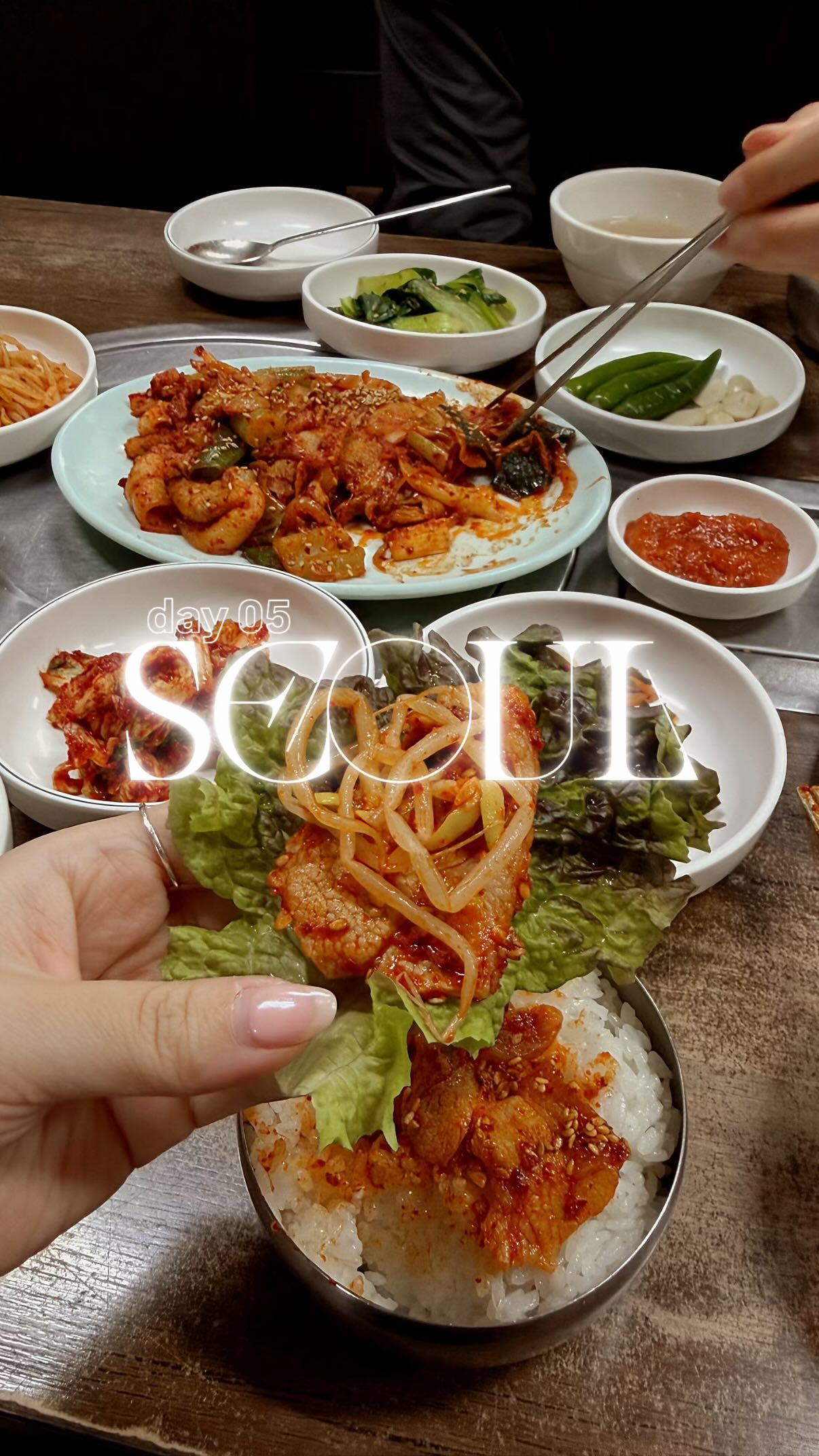 Seoul's Myeongdong District and Apgujeong Dining