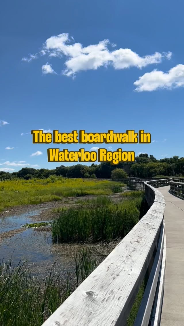 Mike Schout Wetlands Preserve Boardwalk Trail