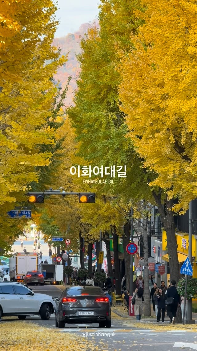 Ewha University and Street Autumn Scenery