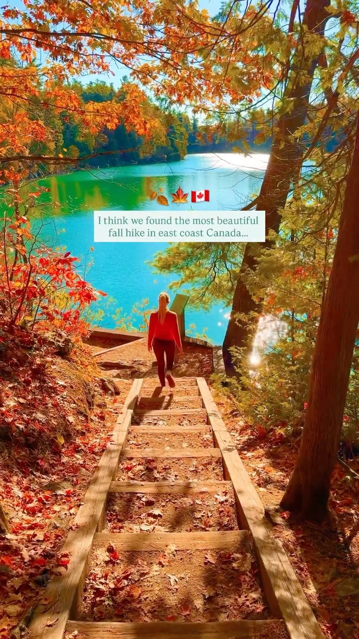 3 Places in Chelsea