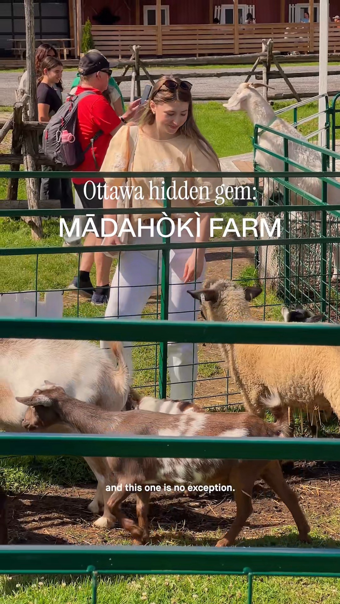 Indigenous Farm and Market Experiences