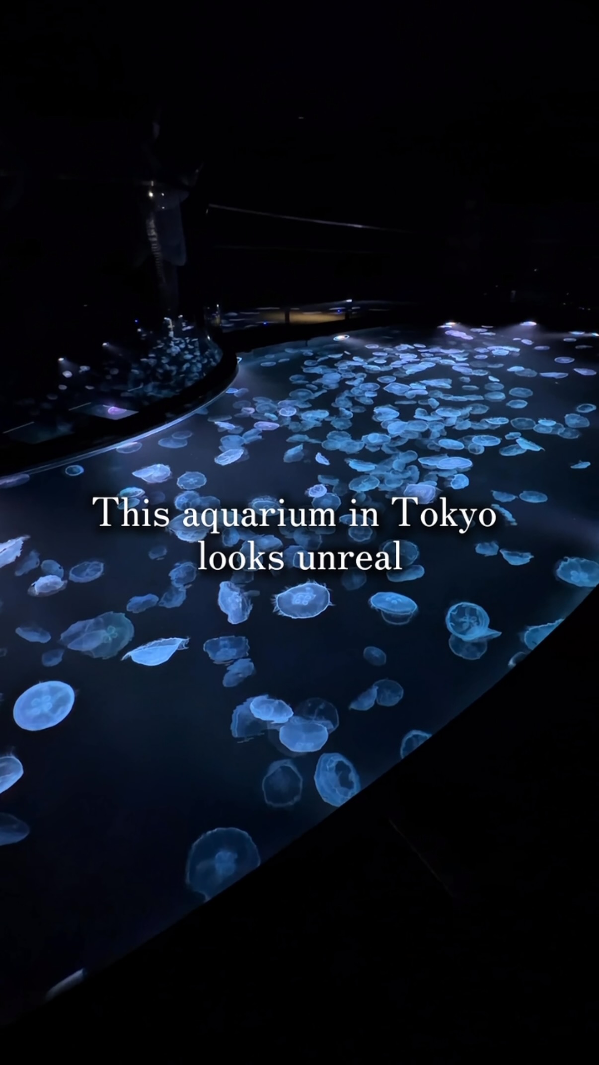 Artistic Aquarium Below Tokyo Skytree