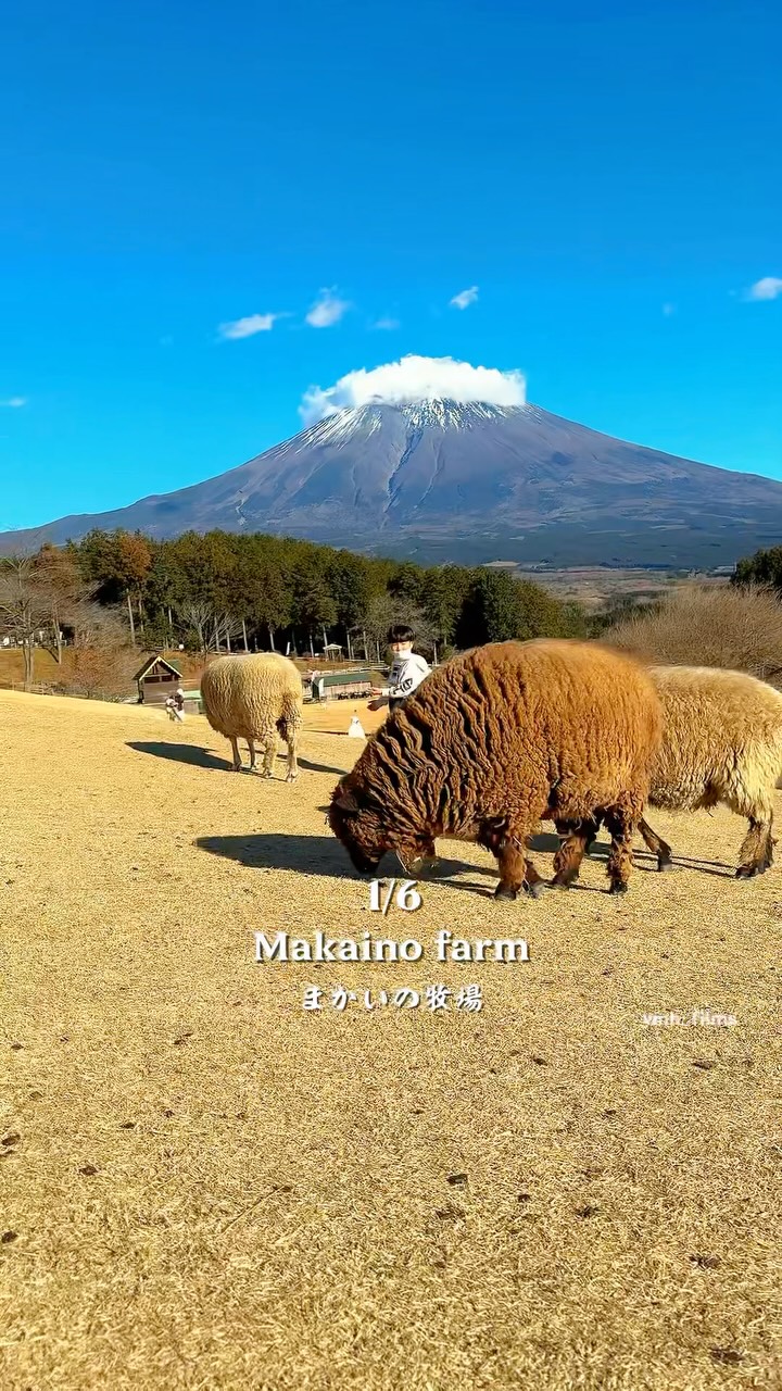 Five Mt. Fuji Viewpoints and Attractions