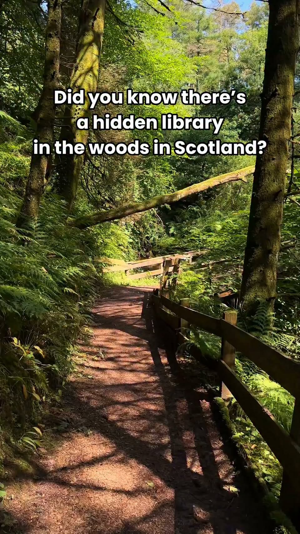 Scotland's Magical Hidden Library Escape
