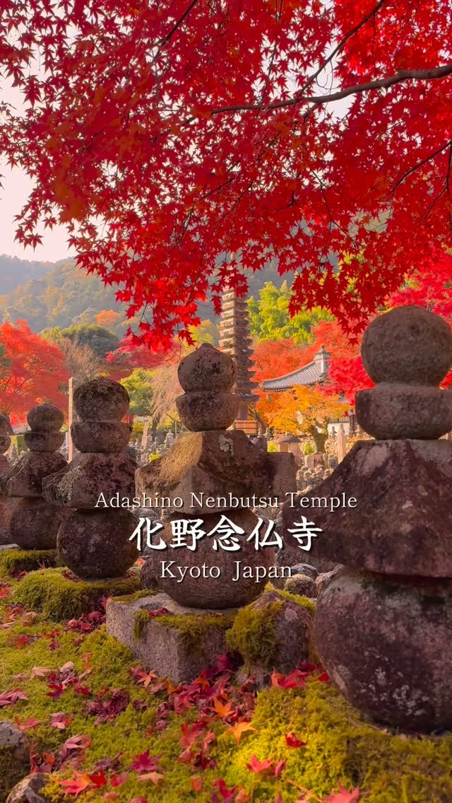 Kyoto Temple Features Unique Stone Buddha Autumn Foliage