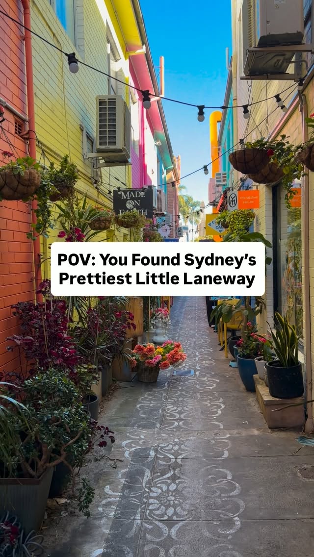 Rose Bay Laneway Art, Cafes, and Shops