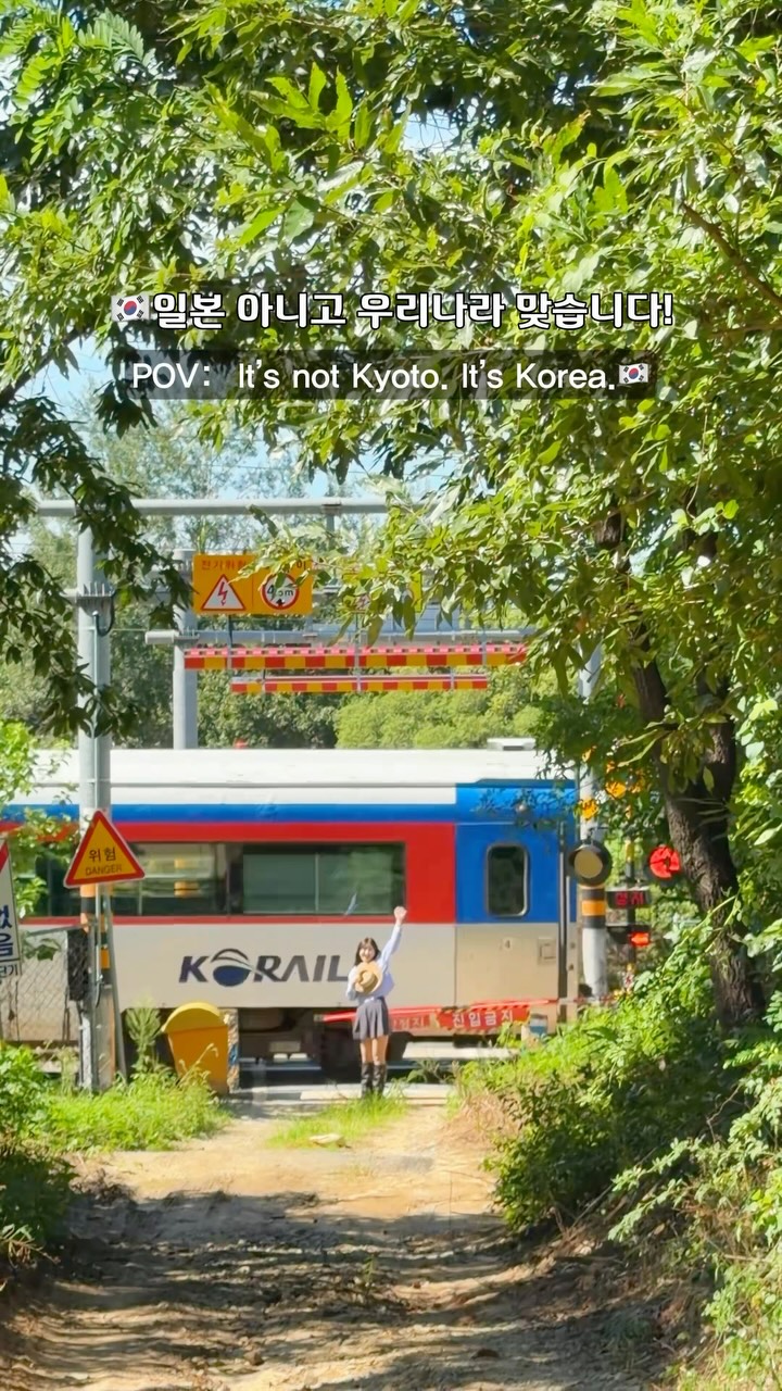 Gyeongchun Line Forest Trail: Korea's Kyoto-like Escape