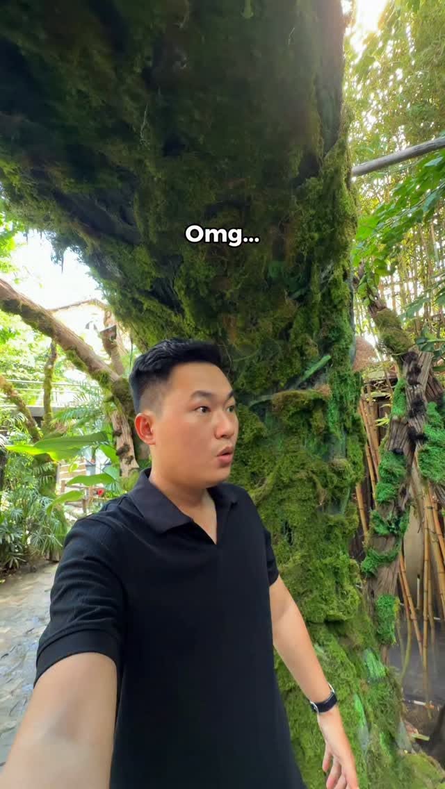 Vườn Thiên Giới: Tropical Forest Cafe In Ho Chi Minh City
