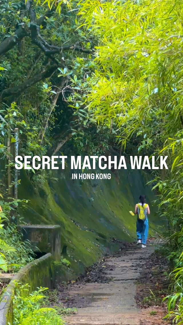 Central's Matcha Forest Walk Via Mid-Levels Escalator