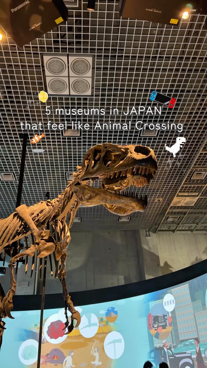Japanese Nature, Science, and History Museums