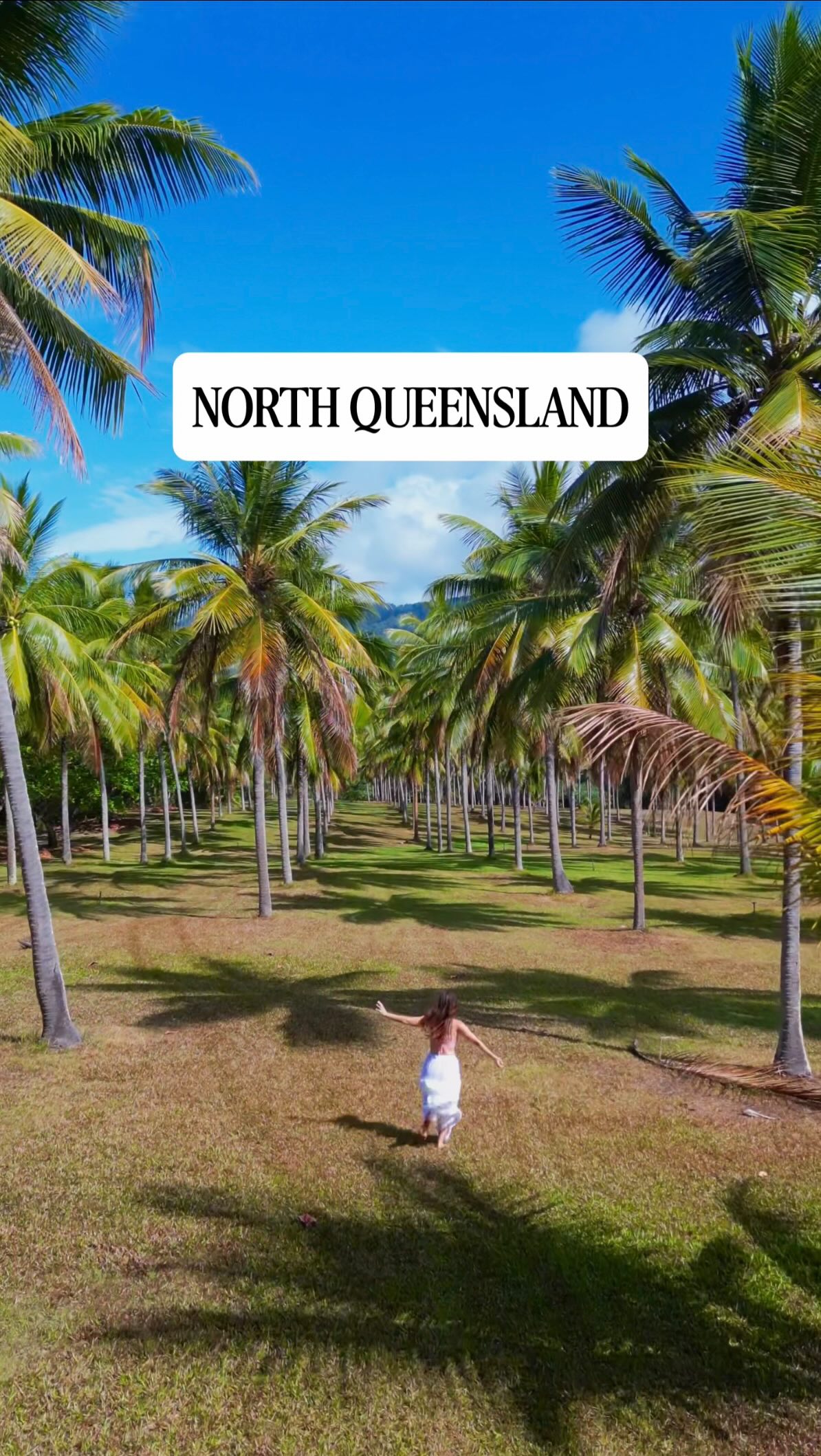 North Queensland Road Trip: Scenic Spots and Attractions