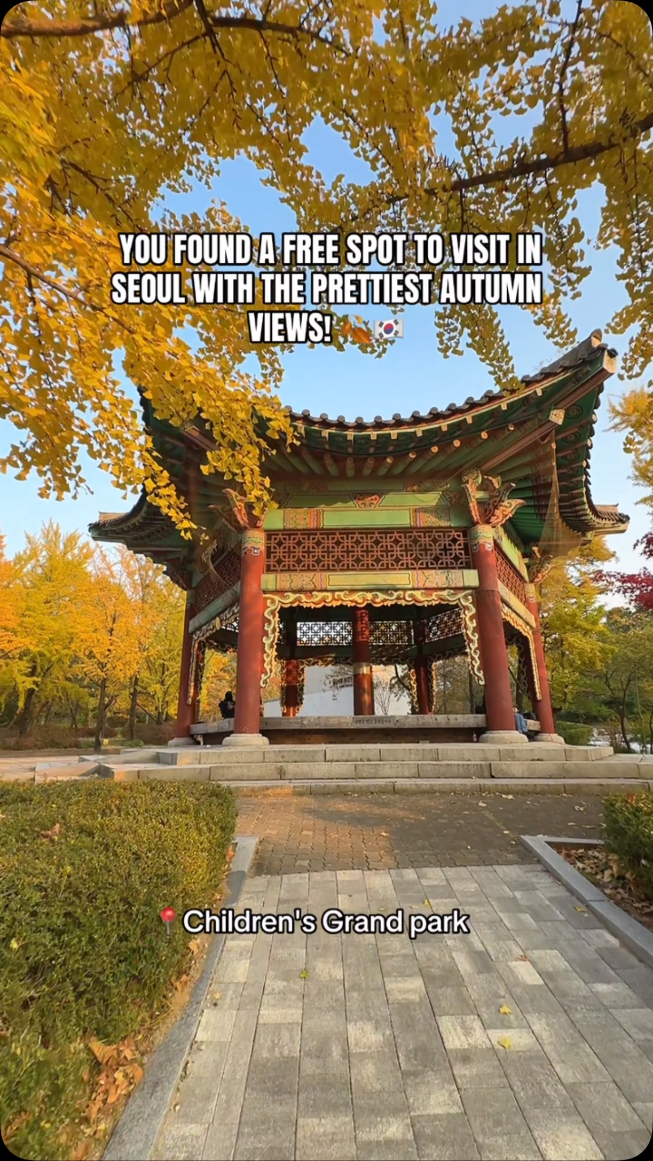 Seoul Children's Grand Park Autumn Beauty