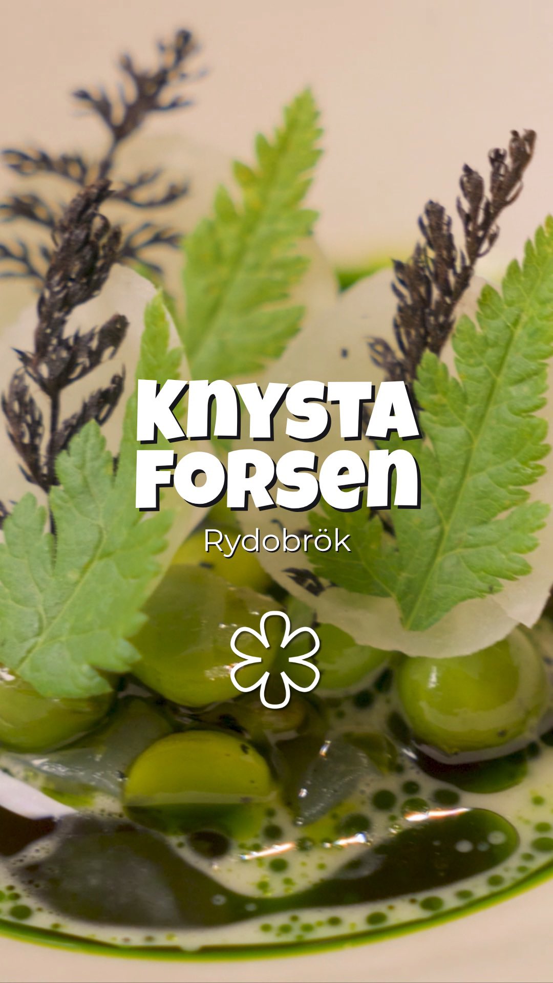 Knystaforsen: Fire-Cooked Swedish Delicacies