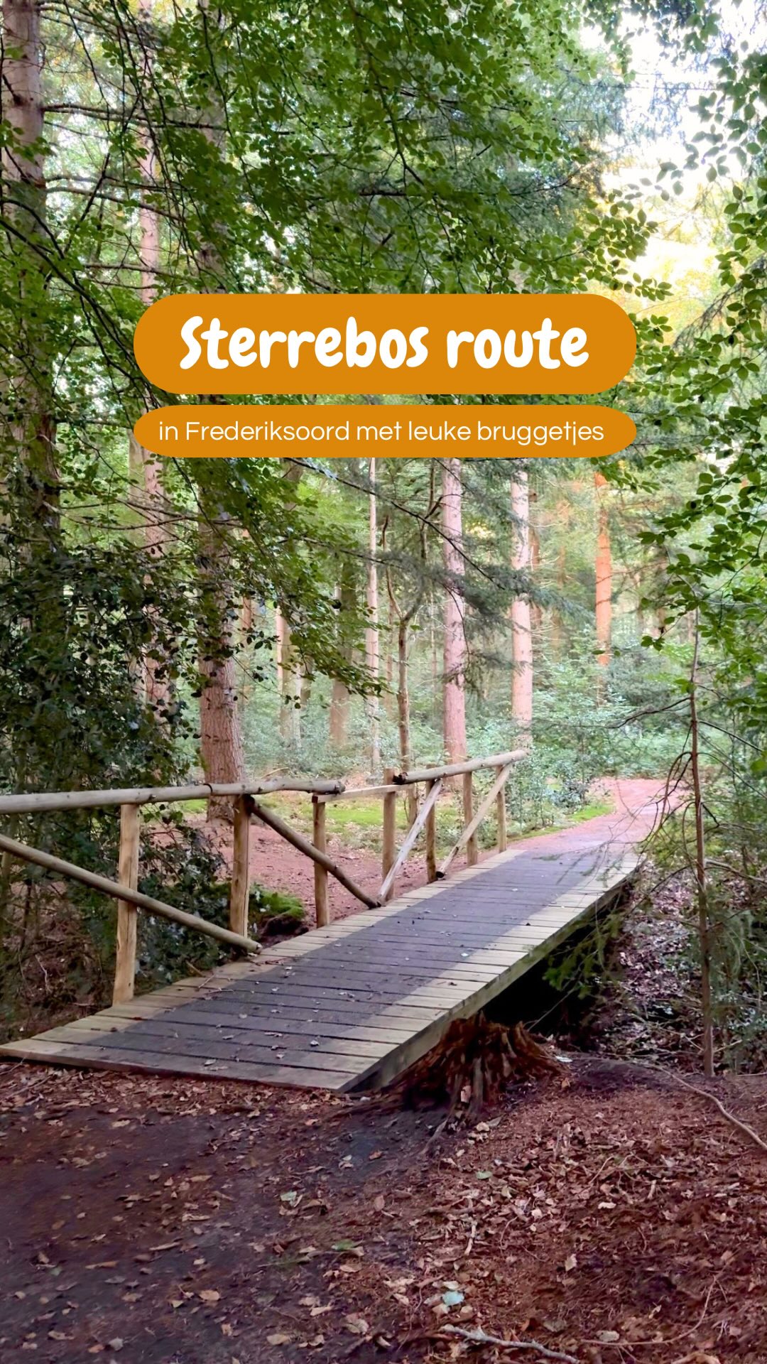 Colonies Of Benevolence Forest Walking Trail