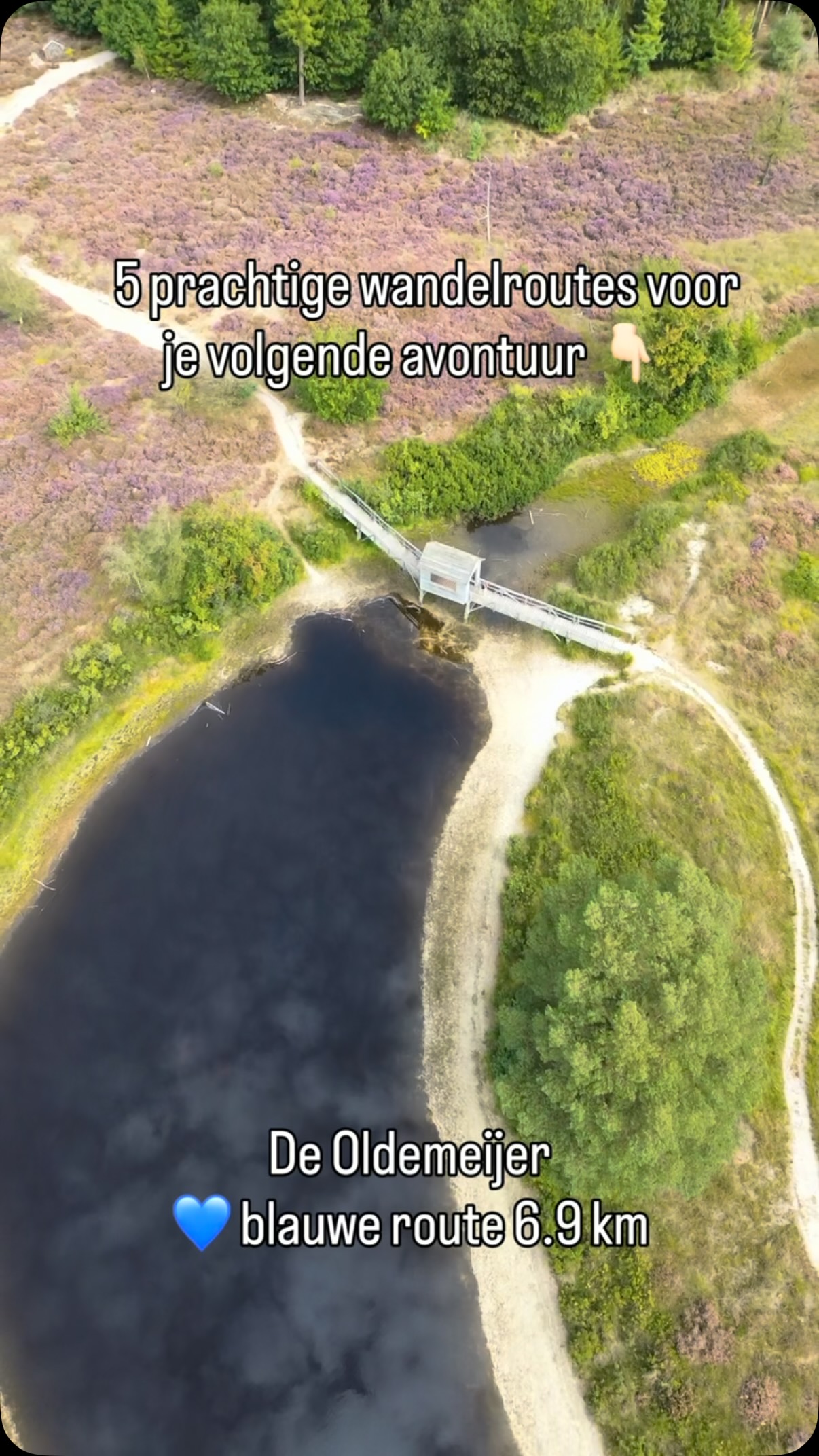 Discover Drenthe's Five Scenic Walking Trails