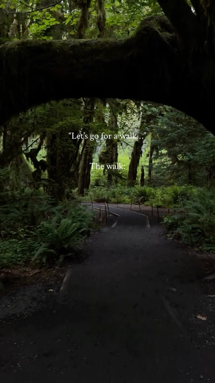 Olympic National Park's Lush Hoh Rainforest Trails