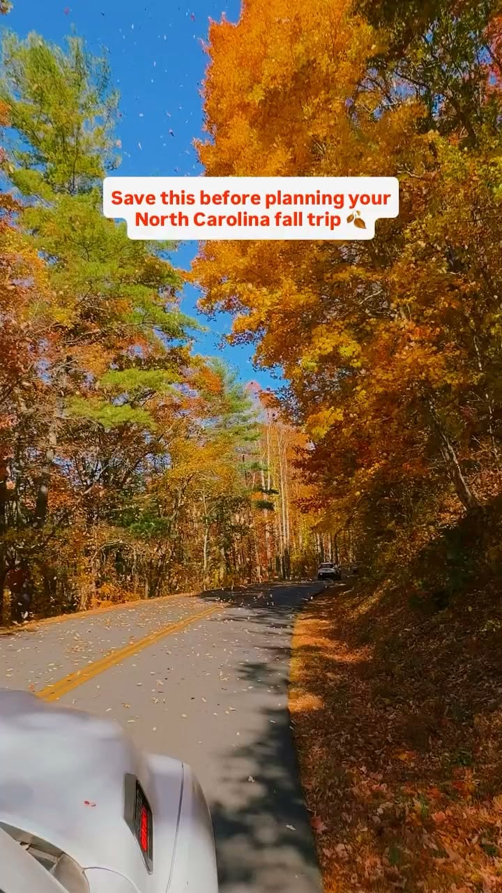 North Carolina Mountain Destinations For Fall Foliage