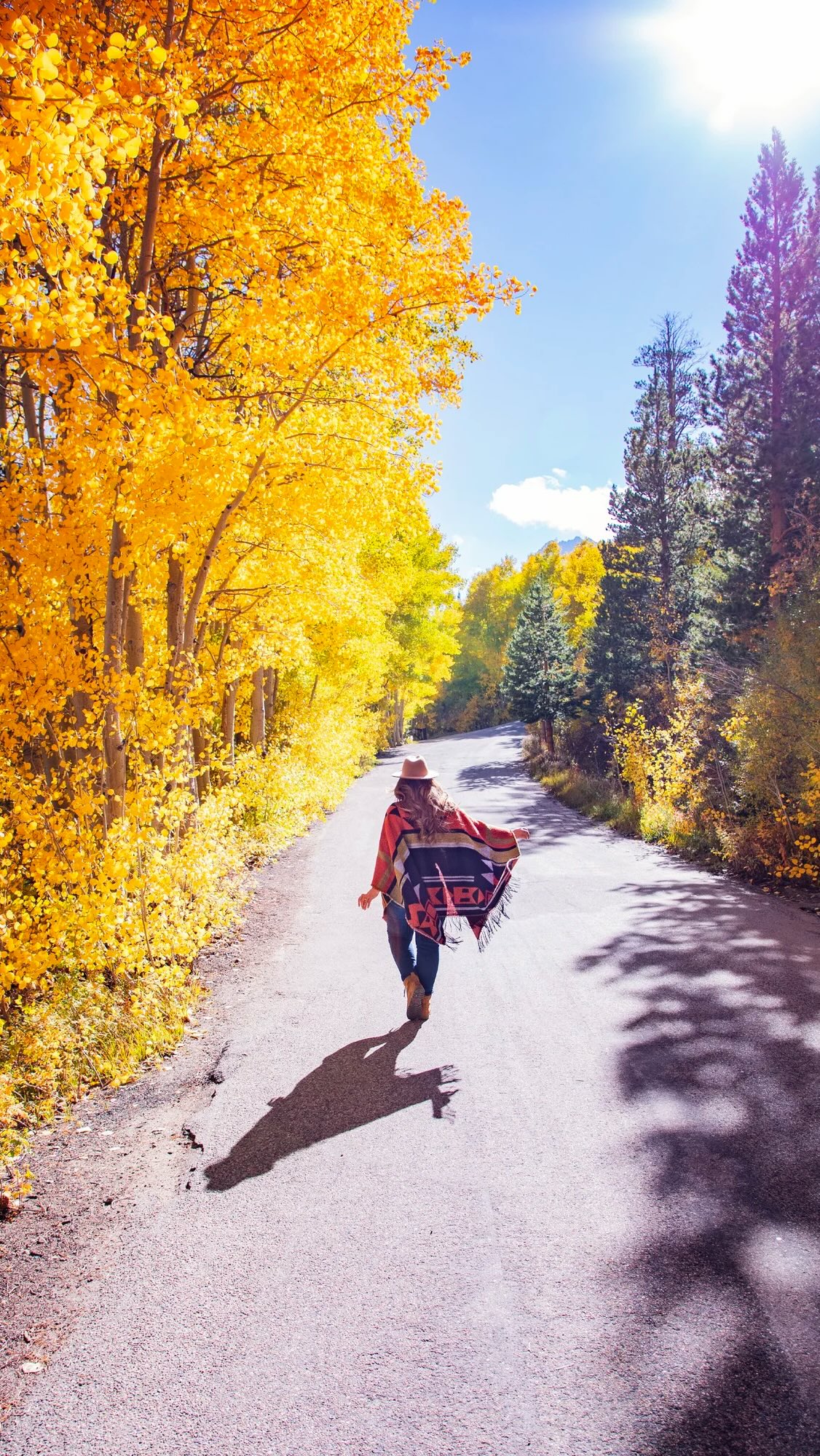 Eastern Sierra Fall Color Road Trip Destinations