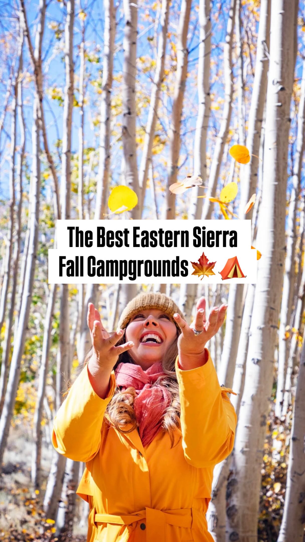 Eastern Sierra Campgrounds For Autumn Colors
