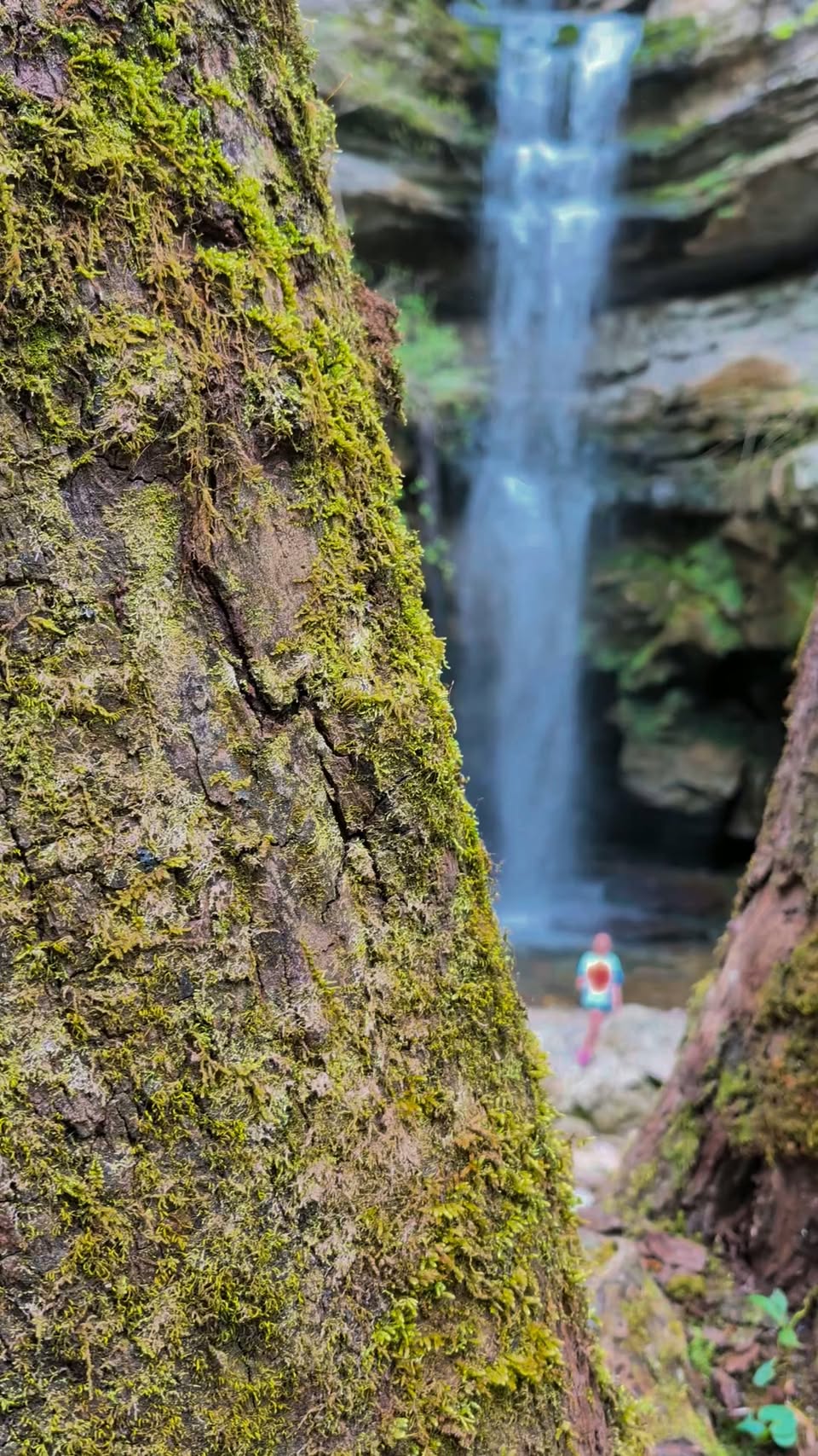 Lost Creek Wilderness and Virgin Falls Karst Systems