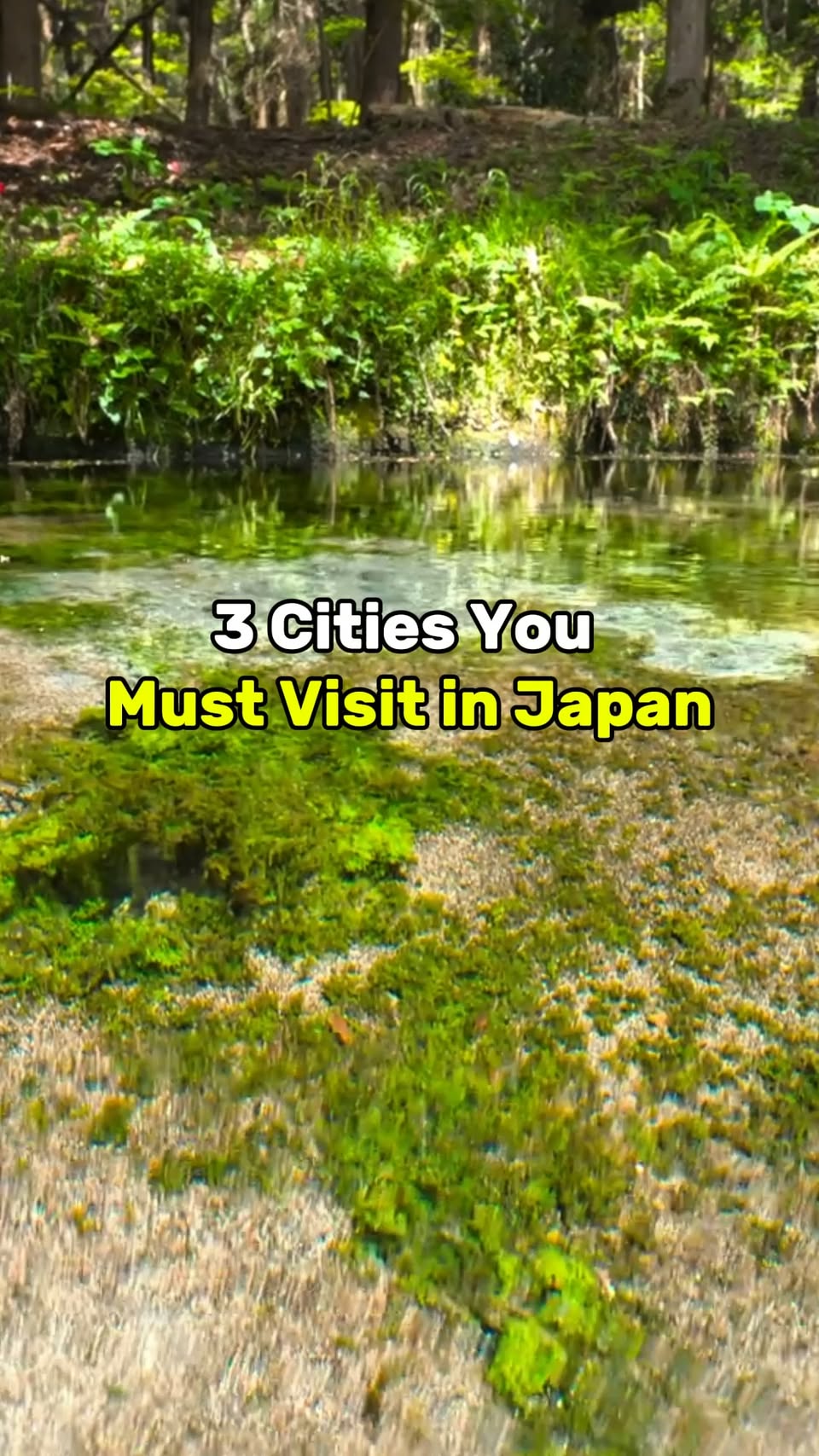 Must-Visit Japanese Cities and Attractions