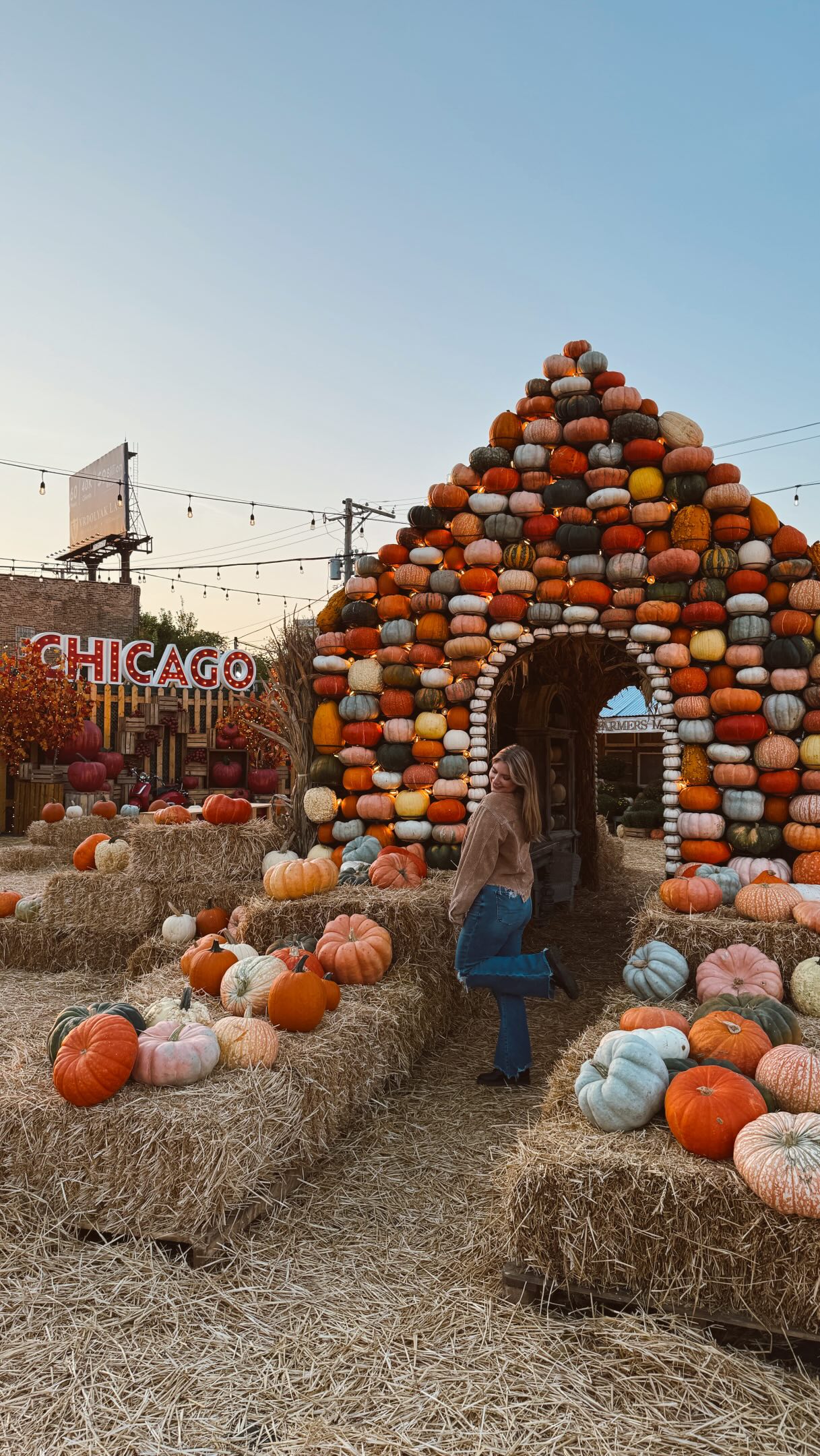 Chicagoland Autumn Adventures