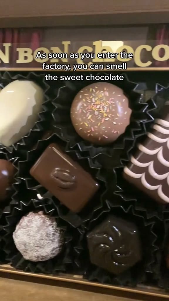 Chocolate Factories Featuring Real Chocolate Attractions