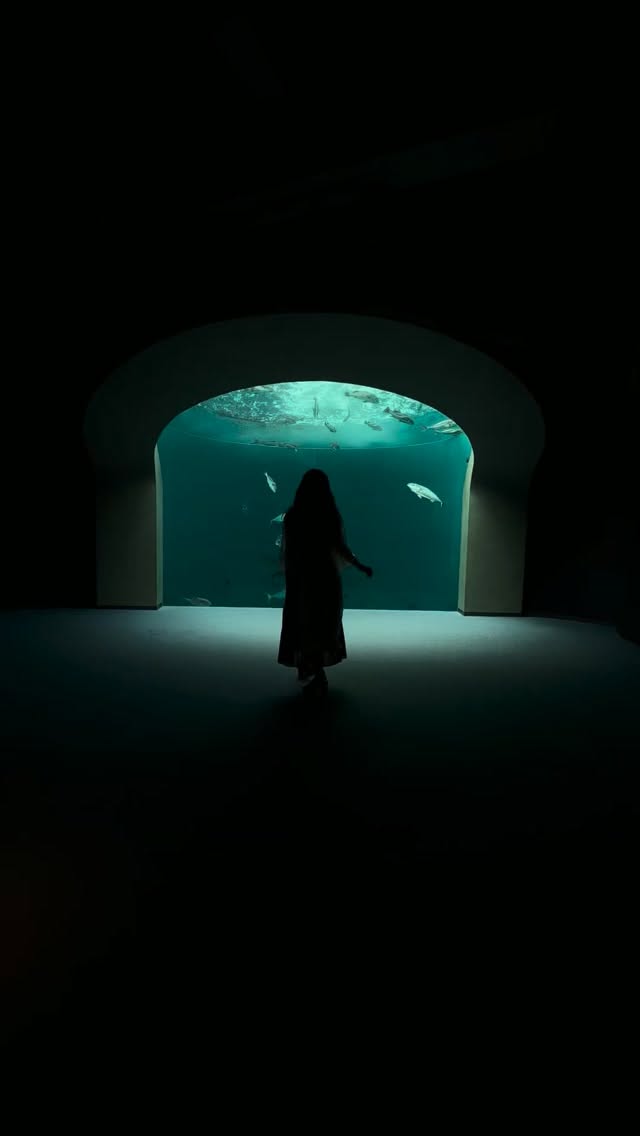 Six Kagawa Prefecture Spots Including Beaches and Aquariums