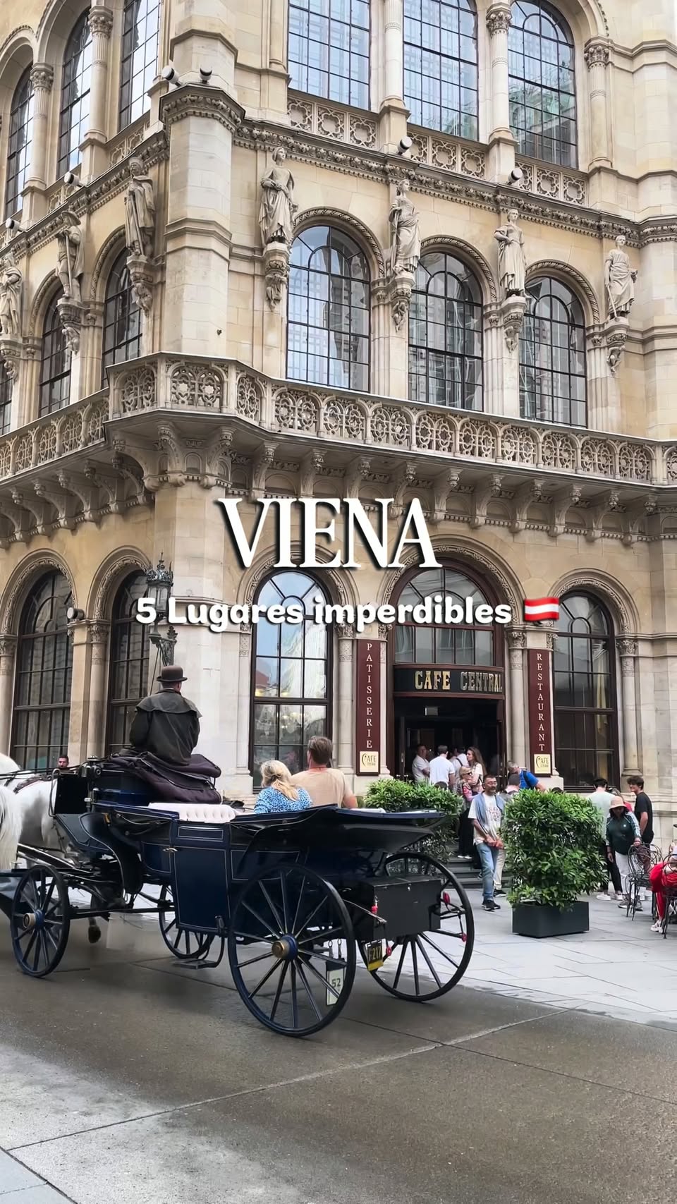 Viena's Top Attractions: Palaces and Historical Sites