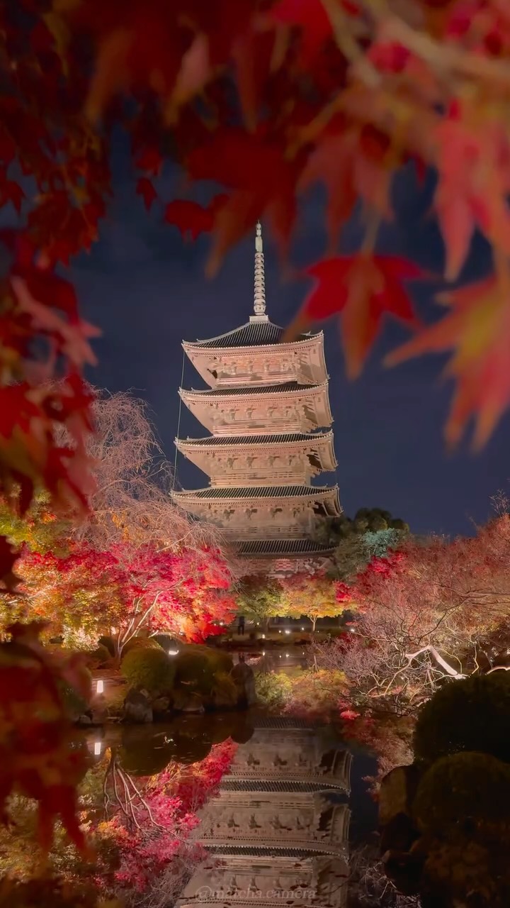 Kyoto's Best Autumn Leaf Viewing Spots