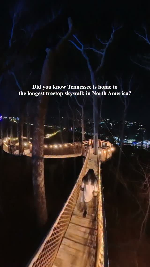 North America's Longest Treetop Skywalk in Tennessee