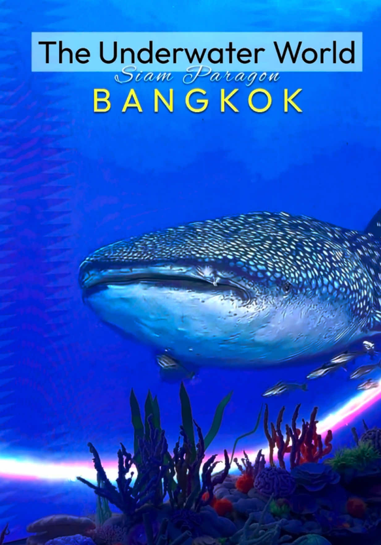 Free Ocean Exhibition At Siam Paragon