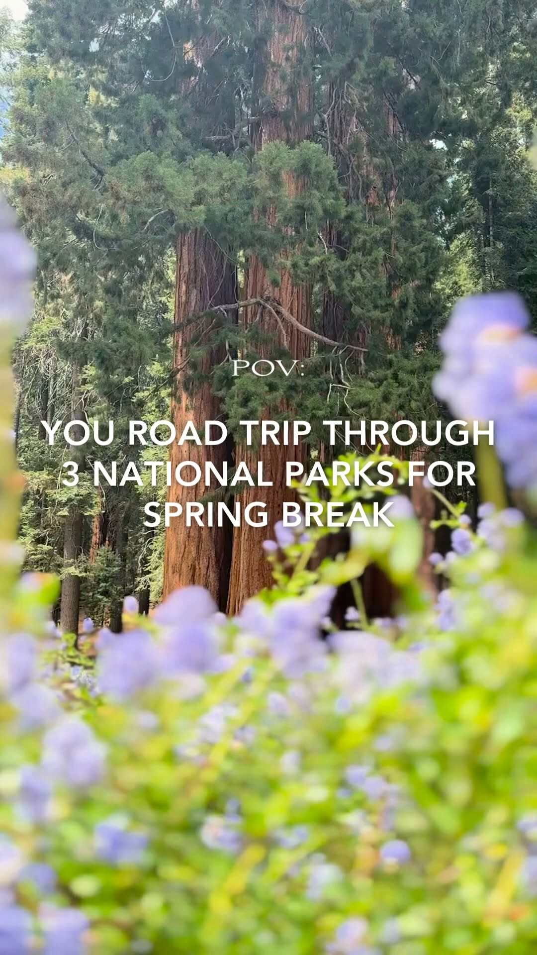 Sierra Nevada Road Trip Through National Parks