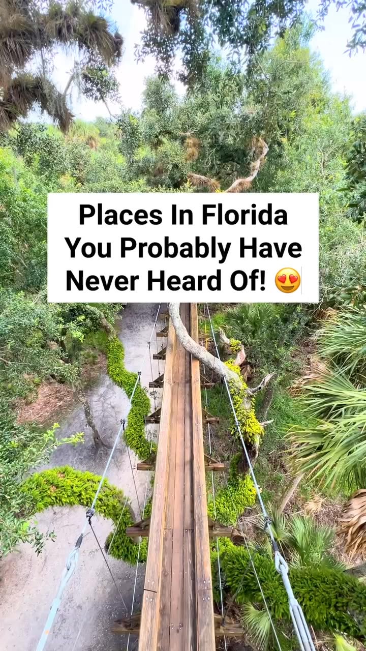 Florida's Natural Wonders And Artistic Treasures