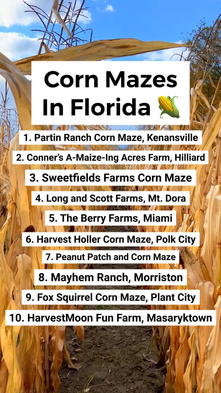 Corn Mazes and Farms For Fall Fun