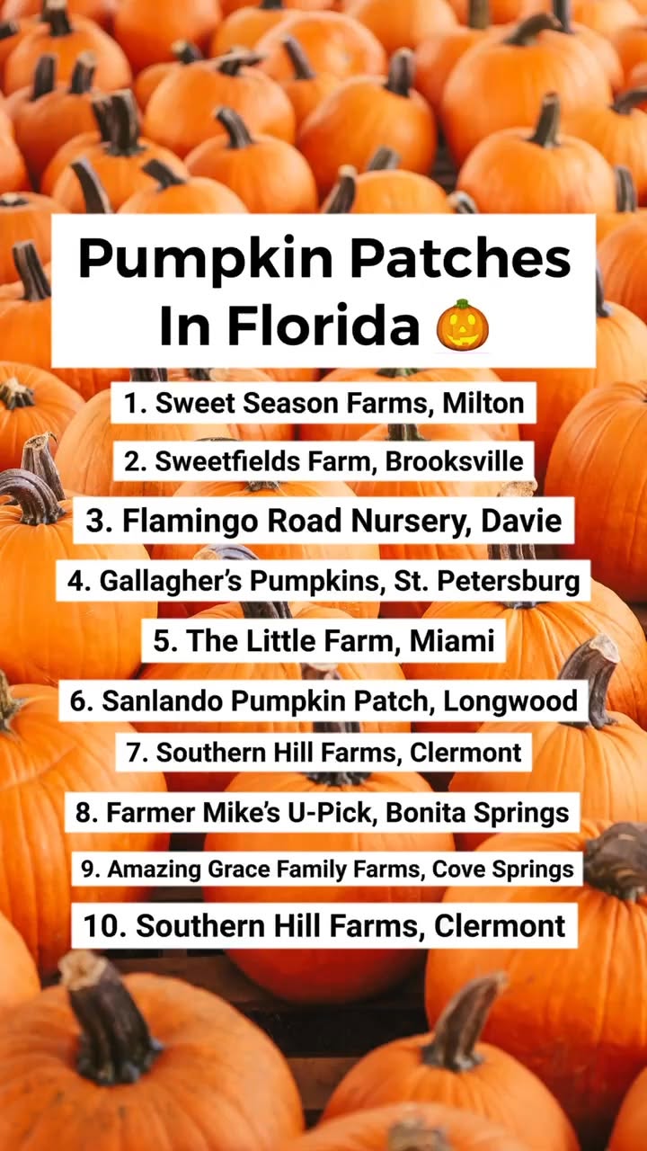Pumpkin Patches and Farms With Seasonal Fun