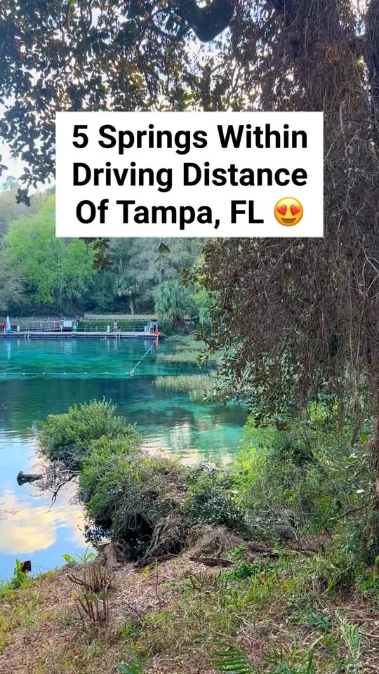 Florida's Natural Springs and Swimming Holes