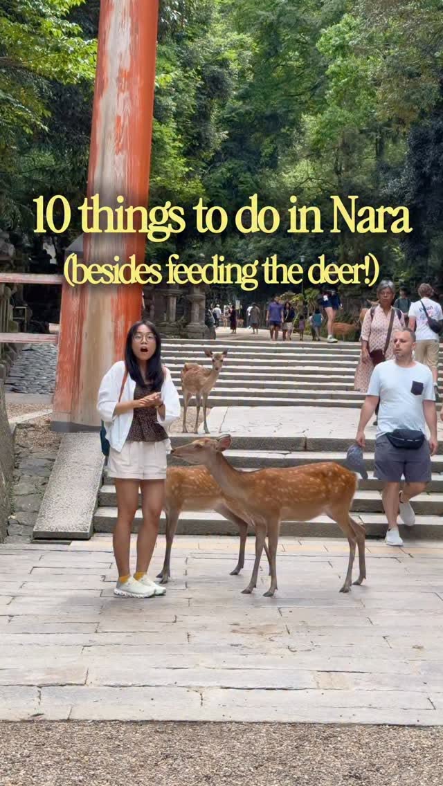 Nara's Temples, Scenery, and Mochi Treats