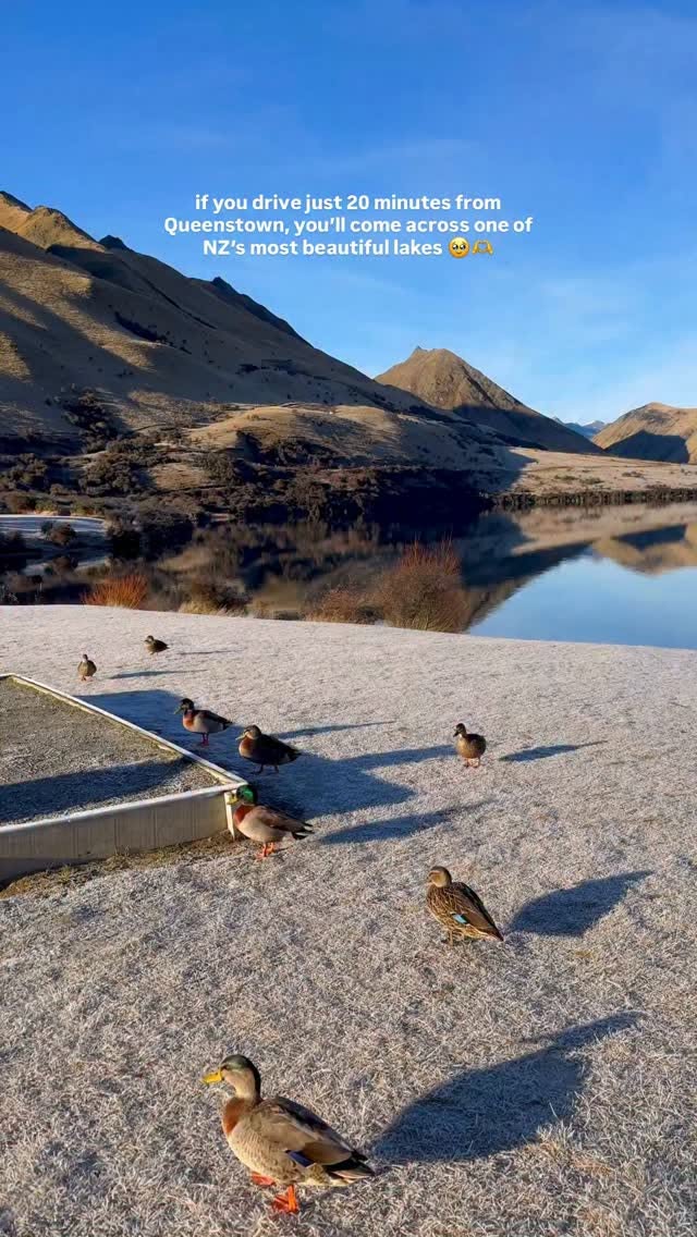 Moke Lake: Queenstown's Scenic Outdoor Haven