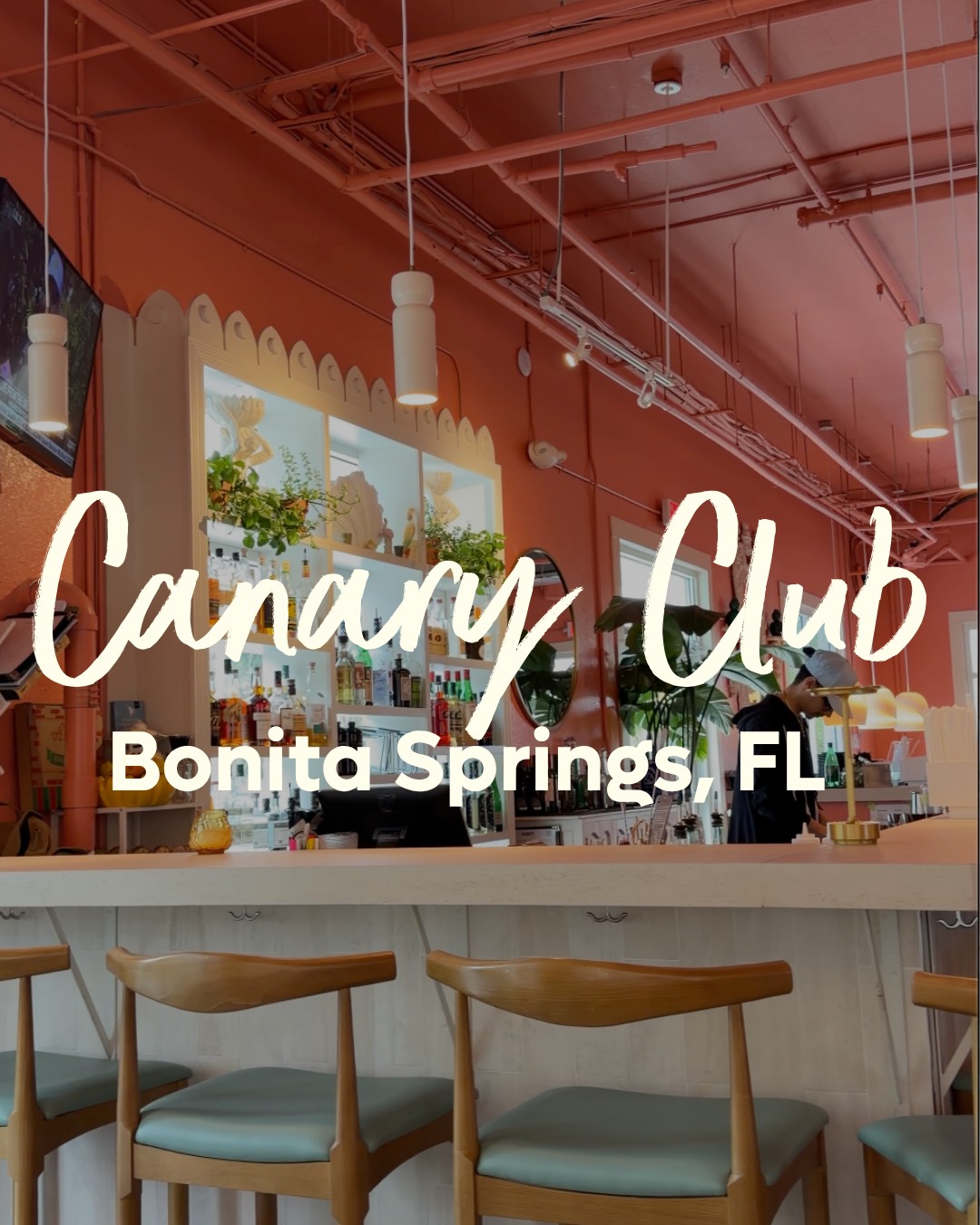 Canary Club: Michelin-Recommended Dining Destination