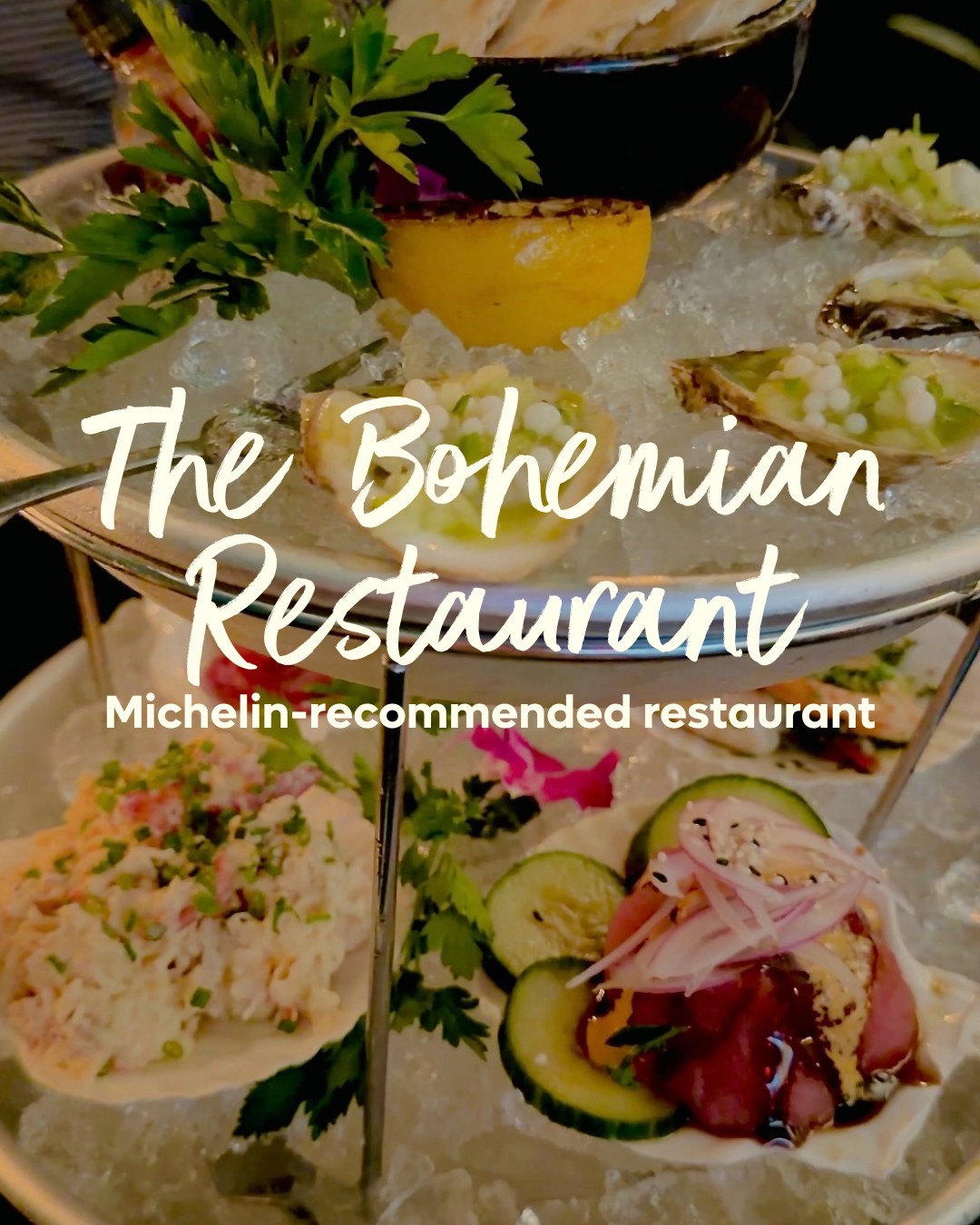 Michelin-Recommended Bohemian Restaurant In Florida