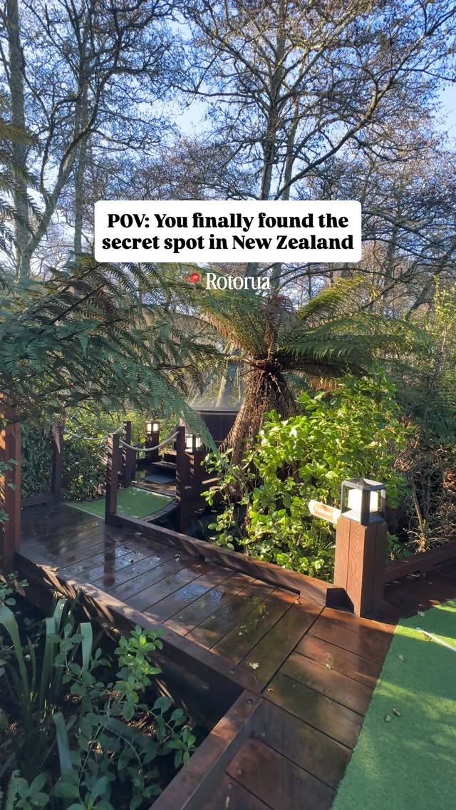 Rotorua's Nature and Adventure Highlights