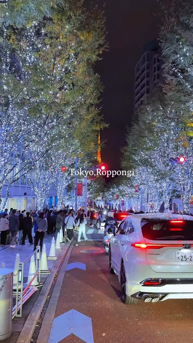 Tokyo Tower & Roppongi Hills Winter Illuminations