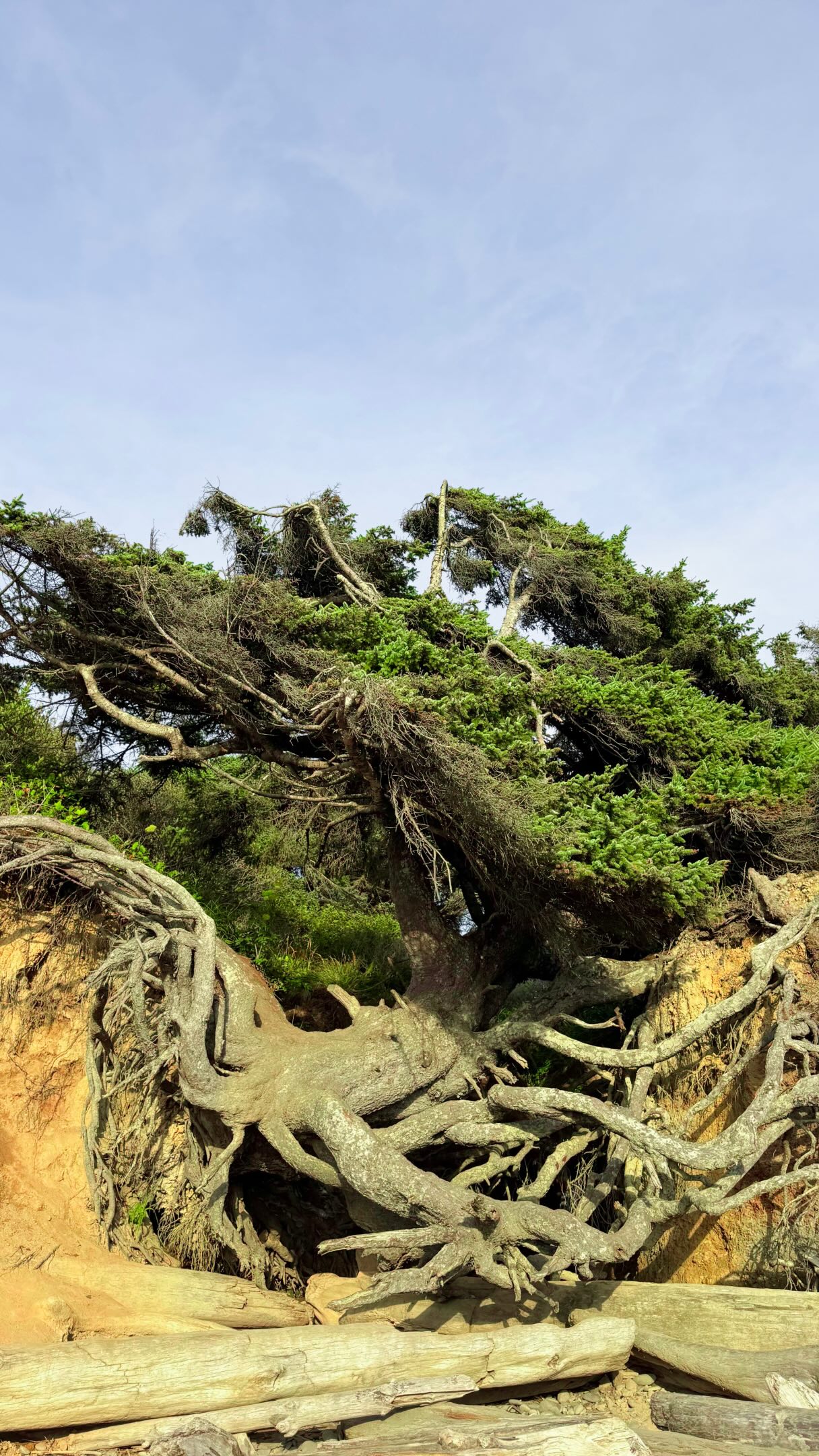National Parks and Unique Natural Wonders