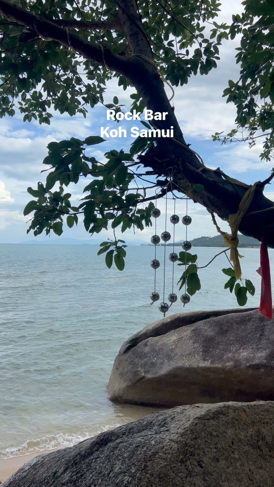 Rock Bar: A Unique Nightlife Experience