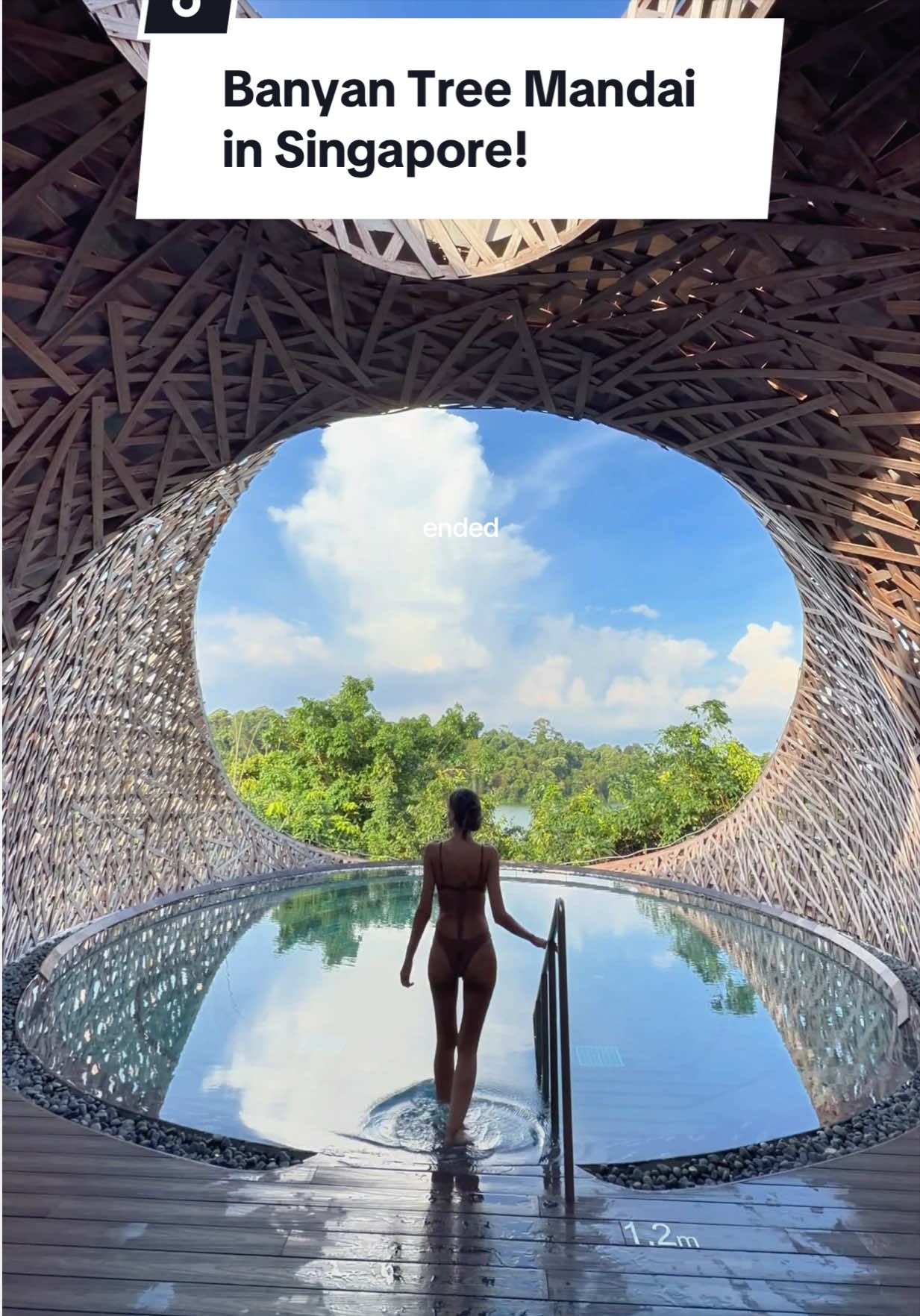 Mandai Nature Reserve's Wildlife Attractions And Resort