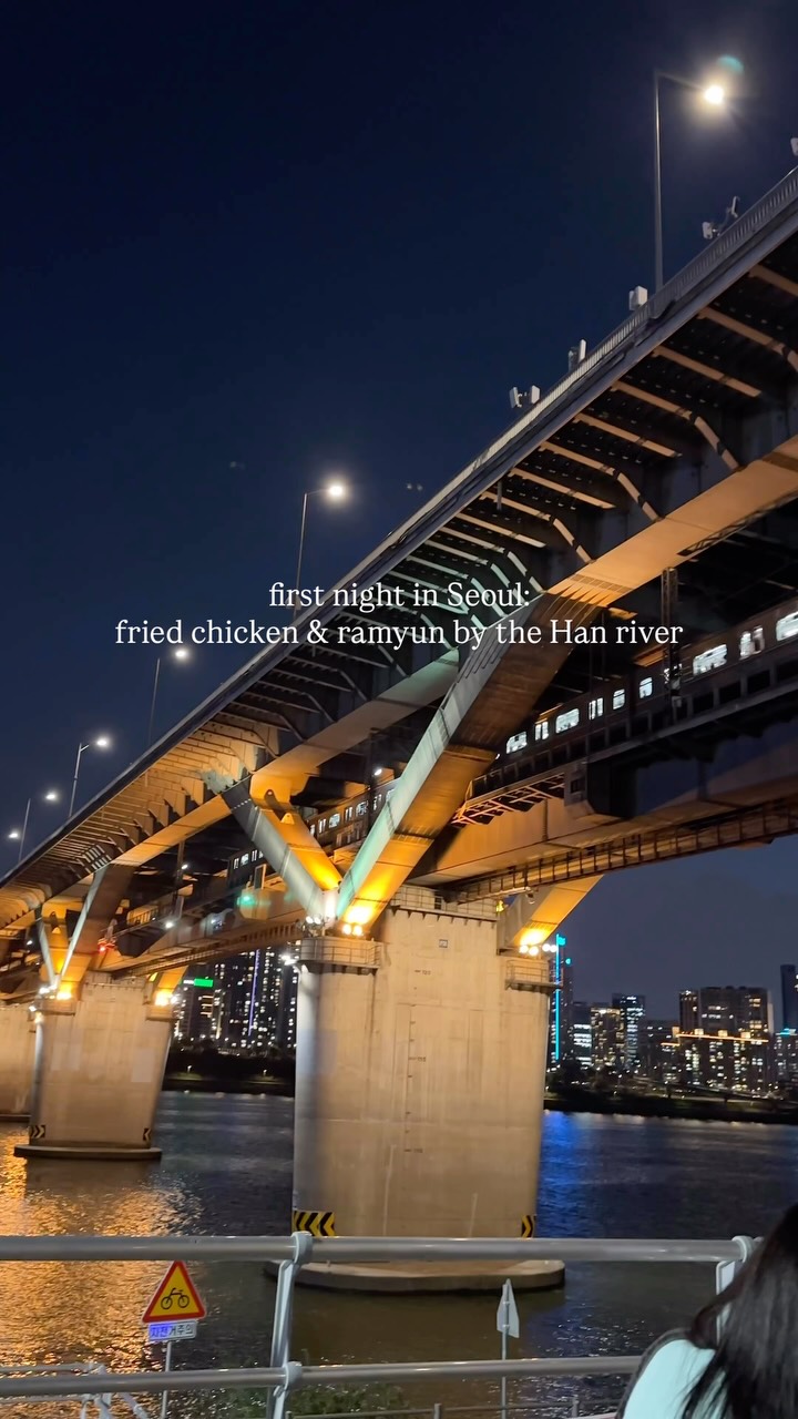 Seoul Han River Parks: Nighttime Dining Delights