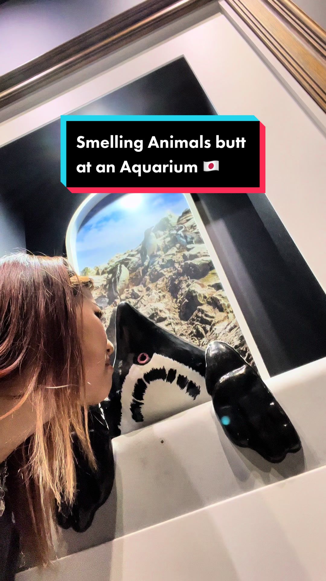 Átoa Aquarium: A Sensory Journey Through Marine Life