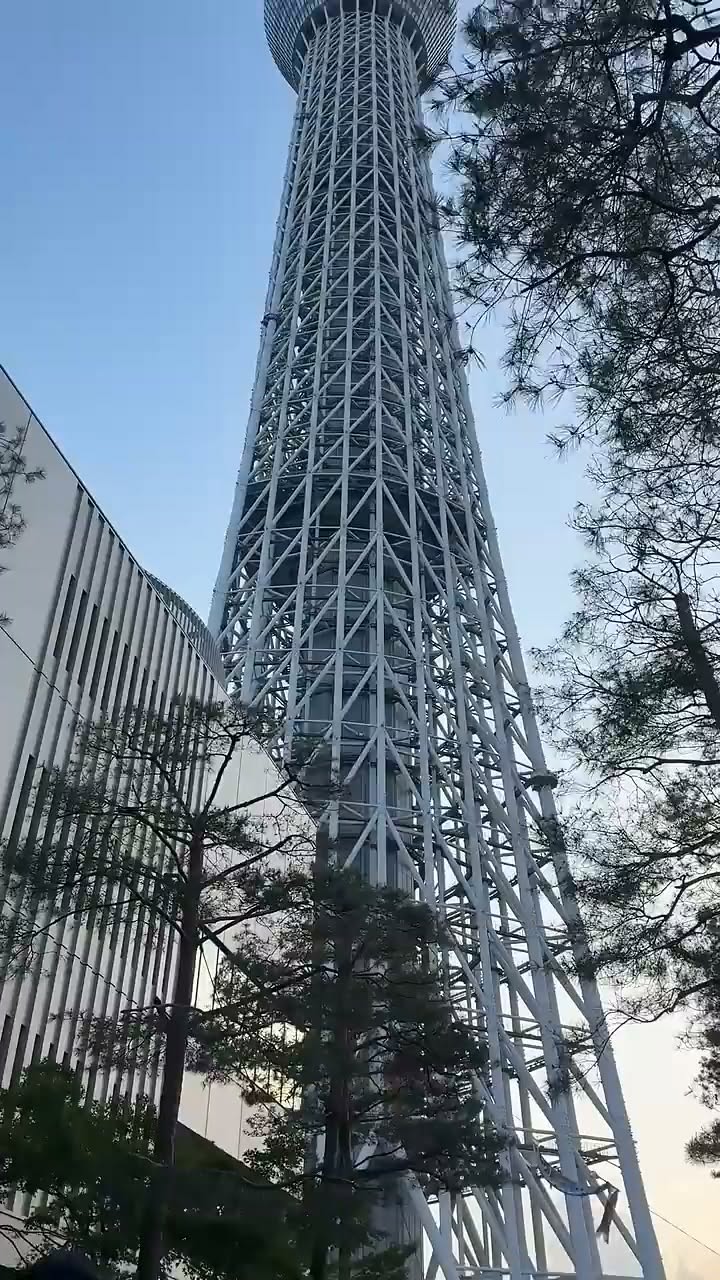 5 Attractions in Tokyo