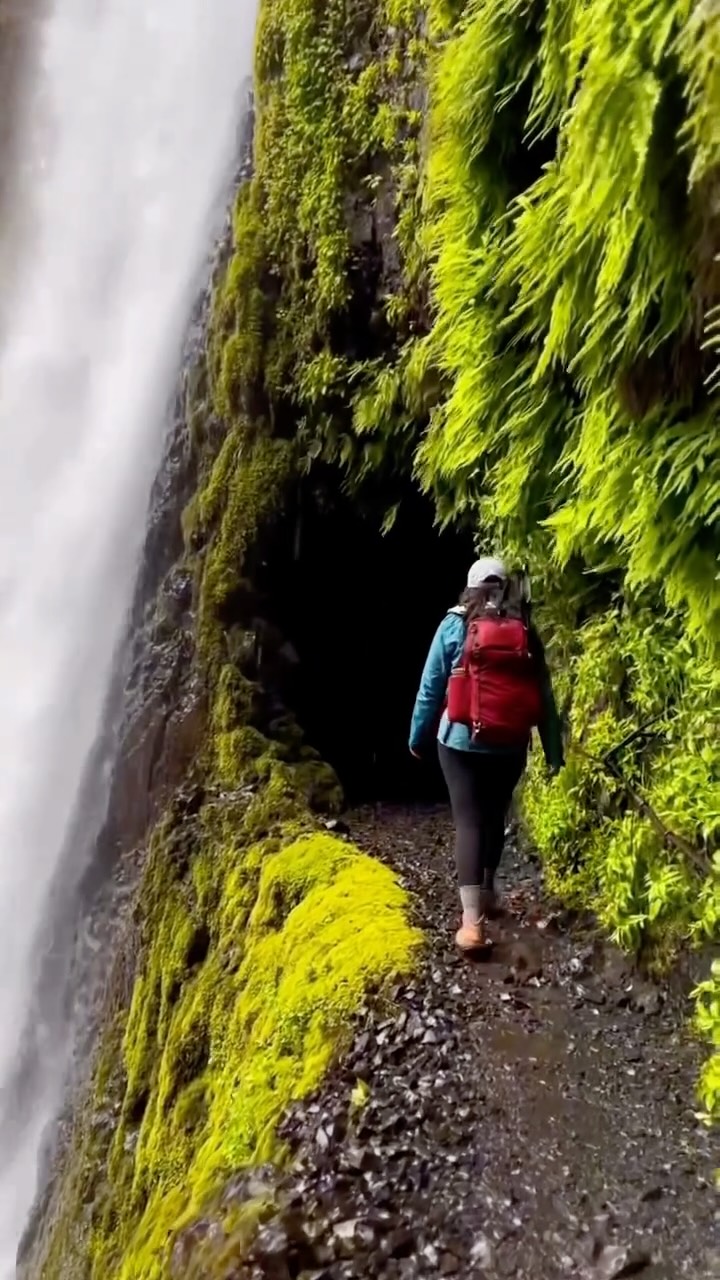 Columbia River Gorge Waterfalls And Trails